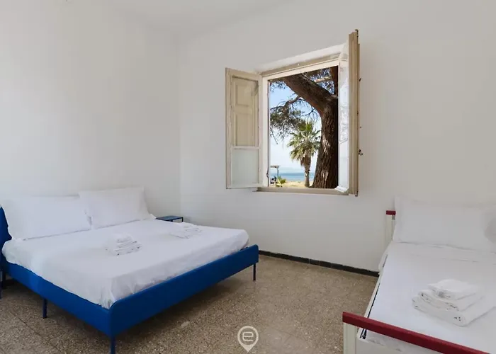 Tipologia O24 Apartman Torre Grande